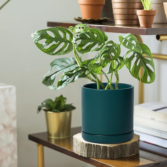 D'vine Dev 6 Inch & 8 Inch & 10 Inch, Set of 3 Round Ceramic Planter Pot with Drainage Hole and Saucer, Teal, 94-T-L-9