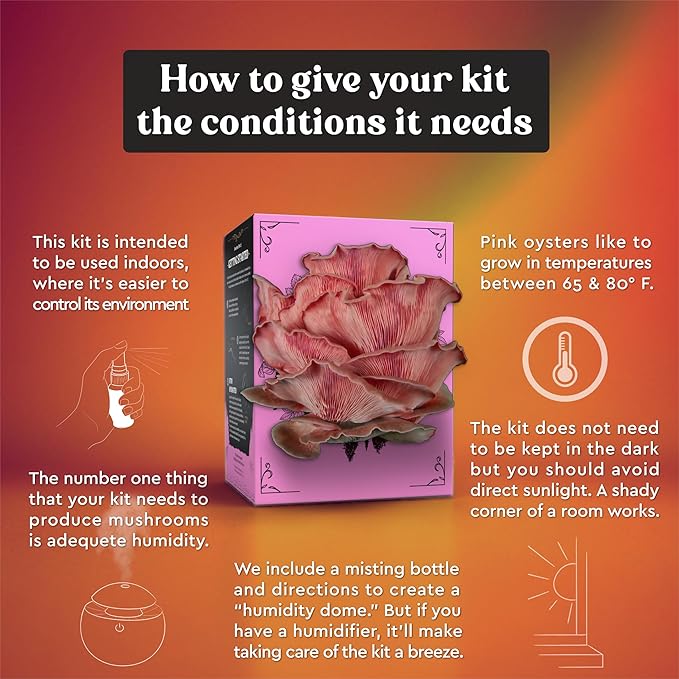 Pink Oyster Mushroom Grow Kit (4lbs) | USDA Certified Organic | Grow Your Own Delicious Gourmet Mushrooms at Home