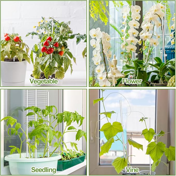 30 Pcs Plant Stakes Orchid Stakes 16Inch & 11Inch Clear Acrylic Plant Sticks Plastic Plant Support Stakes for Indoor Outdoor Garden with 30 Plant Clips for Potted Plants Vegetables Flowers