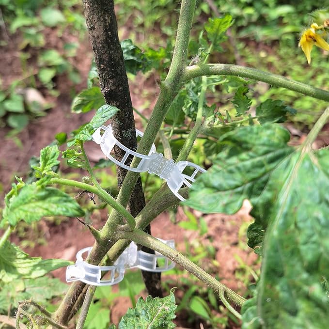 Bulk Tomato Clips, Plant Support Clip for String Trellis Climbing Plants Garden Vegetables- 200PCS/White