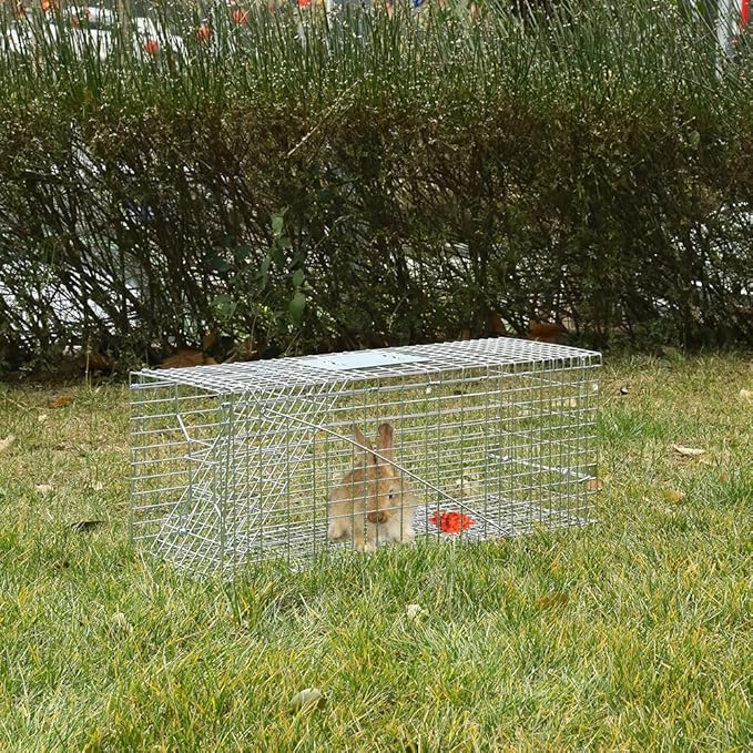 Animal Traps,Live Animal Trap for Cats,Rabbits, Squirrels,cat Trap for Stray Cats, Live Traps for Raccoons, Steel Foldable with Pedal Triggers (24 x 7 x 8 inches)