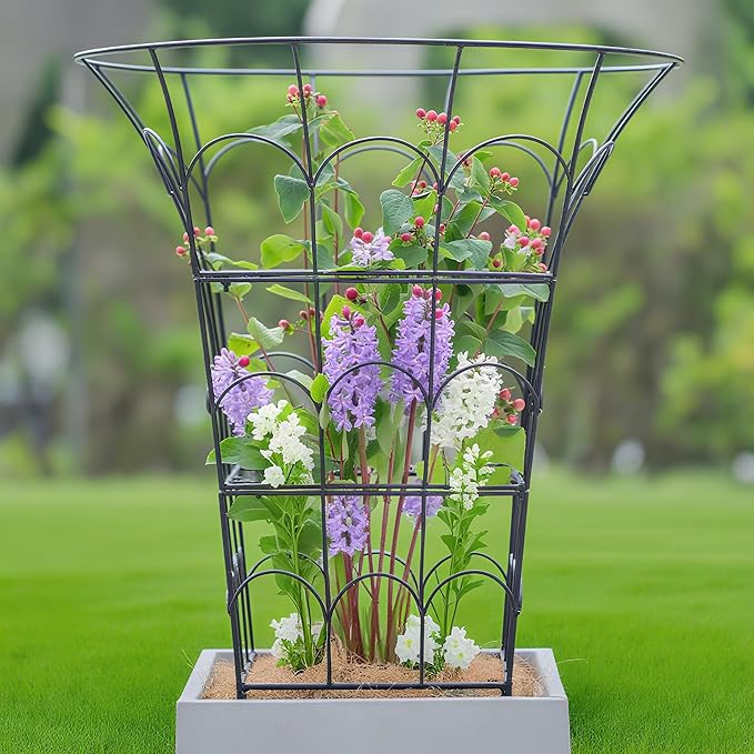 COOOXIM Peony Cages & Supports - Metal Plant Obelisk Trellis for Outdoor Use, 27.5 x 22 Inches, Perfect for Peonies, Roses, and Climbing Vines - Durable Garden Support Ring in M Shape