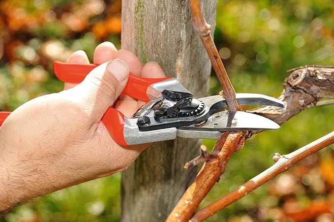 FELCO F8 Pruning Shears – 8.3" Swiss-Made Garden Clippers for Large Right Hands | Ergonomic Comfort | Hand Pruners for Gardening | Garden Tool Cutter with Precision Bypass Blade, Aluminum Handles
