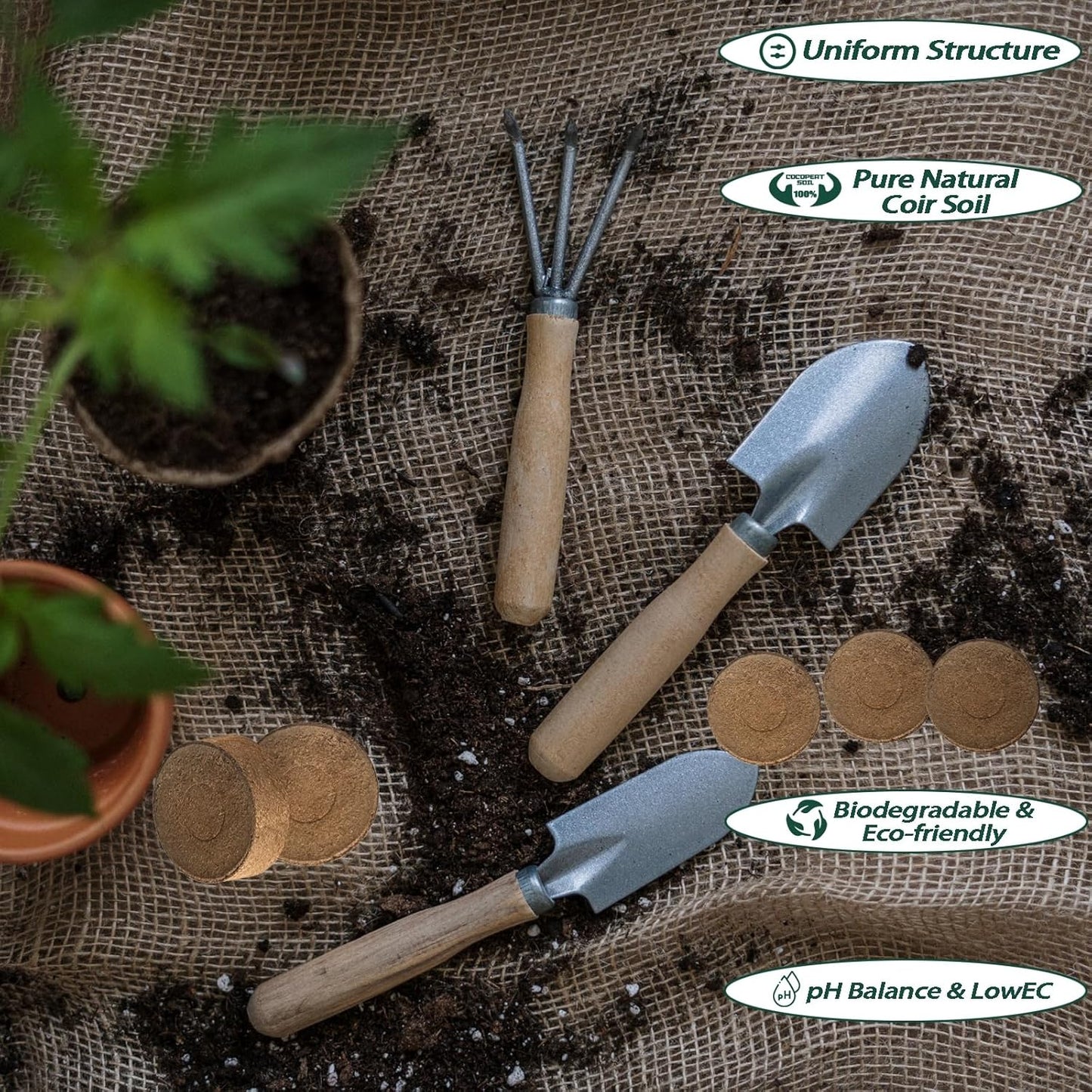 56 Pcs 30mm Compressed Coconut Coir Potting Soil,Coco Coir Pellets for Plants,Coco Fiber Pellets for Planting, Garden, Bonsai, Vegetables & Flower