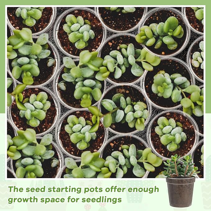 Yaomiao 200 Pcs 2 Inch Clear Mini Plastic Plant Pot Nursery Seedling Pots Seed Starter with Drainage Holes for Indoor Outdoor Garden Succulent Plants Cuttings Transplanting