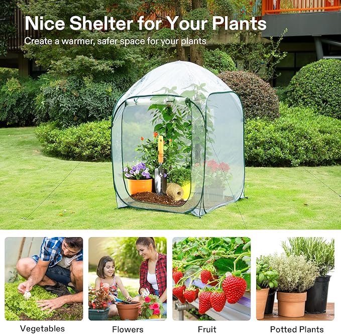 VIVOSUN 39x39x63-Inch Portable Walk-in Greenhouse, with PVC Cover & Detachable Base, Instant Pop-up and Folding, Mini Greenhouse with Roll-Up Door & Mesh Window for Indoor Outdoor, Wind Ropes Included