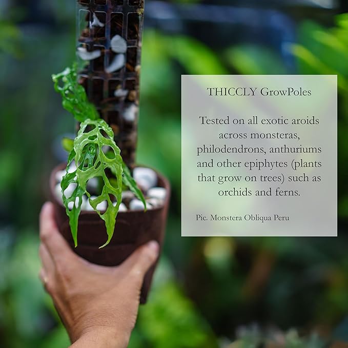 V2 Medium GrowPole - Stackable Plastic Moss Poles for Climbing Plants, Monstera Plant Support-Plant Climbing Pole, DIY Plant Sticks Support. Works for Philodendron and Anthuriums - 5 Pcs