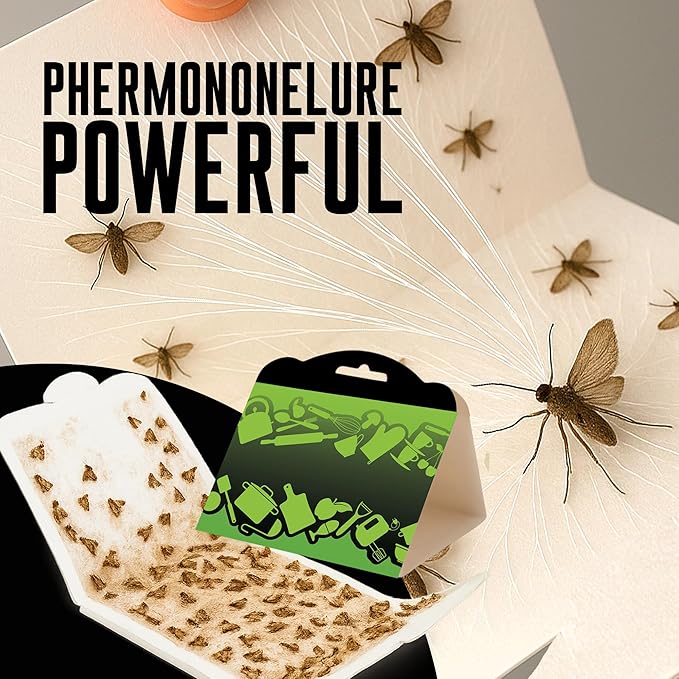 MothMag Pantry Moth Traps with Pheromones – 6 Pack, Non-Toxic Insect Killer for Kitchen, Cupboards, and Food Storage – Indoor Pantry Moth Glue Traps How to Get Rid of Pantry Moths