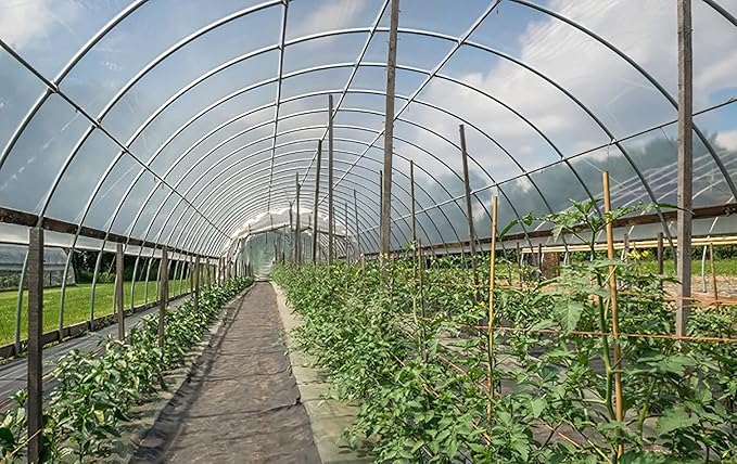 Greenhouse Plastic Sheeting 24x50 ft, 6 mil Thickness Replacement Cover, UV Resistant