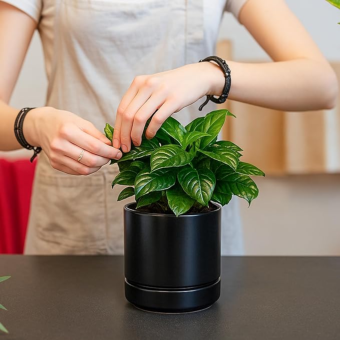 D'vine Dev 4.7 Inch Ceramic Planter Pot with Drainage Hole and Saucer, Indoor Cylinder Round Planter Pot, Black, 94-O-B-2