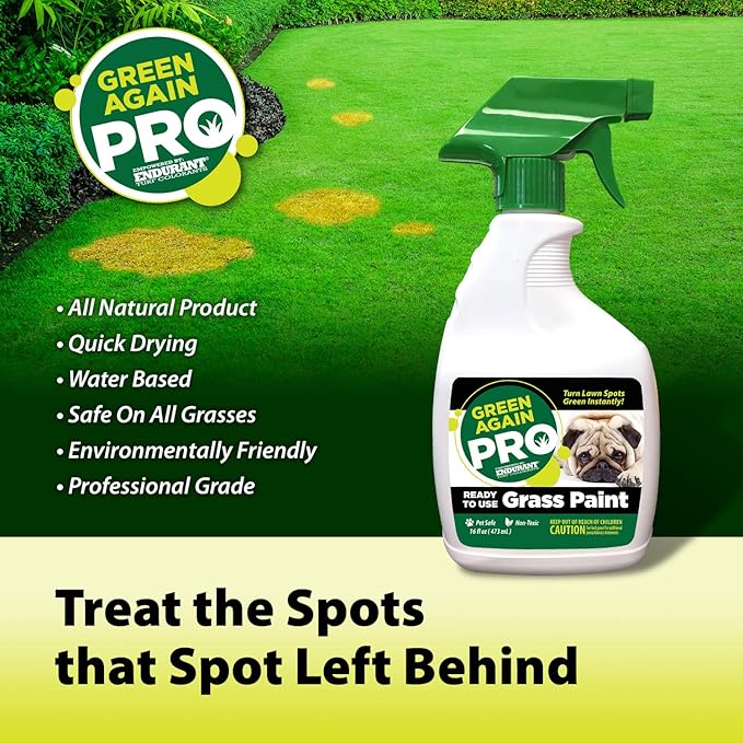 Pre-Mixed Grass and Turf Paint - All Natural Pet-Friendly Lawn Colorant Turns Spots Green Again with Eco-Friendly Point-and-Spray Application (16 oz) (Cool Season Grasses)