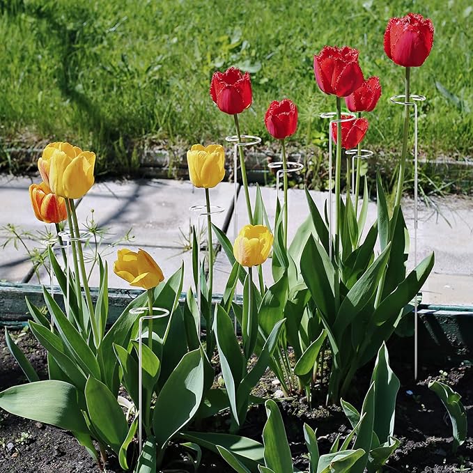 Suclain 10 Pack 30 Inch Plant Support Stake Garden Single Stem Flower Support Stake Cage DIY Stainless Steel Tall Plant Sticks Ring Bracing for Flowers Orchid Tomatoes Peony Lily Rose