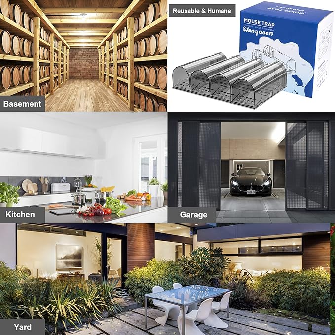 4 Pcs Humane Mouse Traps No Kill, Live Mouse Traps Indoor for Home, Reusable Mice Small Rat Trap Catcher for House & Outdoors(Grey)