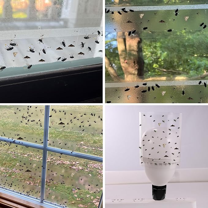 30-Pack XL Window Fly Traps, Clear Fly Paper Sticky Strips for Indoors, House Fruit Fly Catcher, Non-Toxic Bug Killer Traps for Windows, Kitchen & Home
