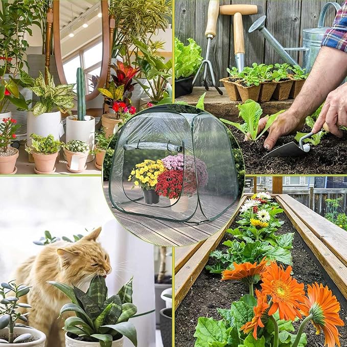 Pop Up Greenhouse Plant Greenhouse Cover, Mini Transparent Freeze Protection PVC Tent with Roll-up Zipper Entry Doors for Indoor and Outdoor Gardens Protecting Plant from Cold Frost (PVC, 39x39x39in)