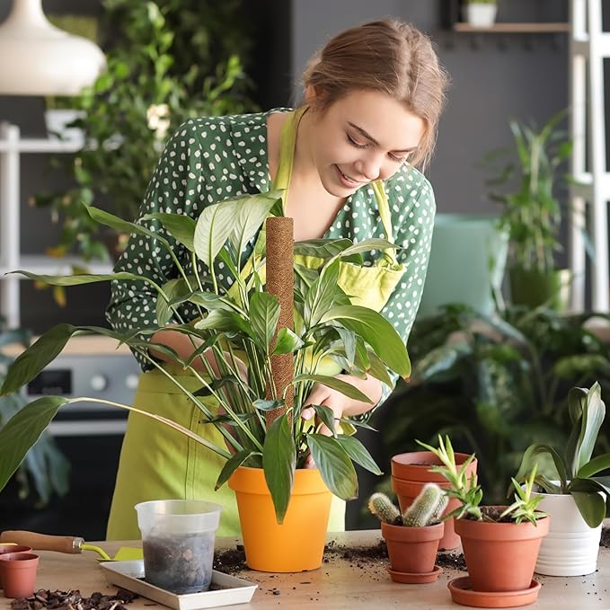 UNIGREEN 2Pack 30'' Premium Moss Pole, Coir Totem Poles for Indoor Plants, 18'' Moss Sticks, Garden Ties - Support and Train Creepers and Climbing Plants