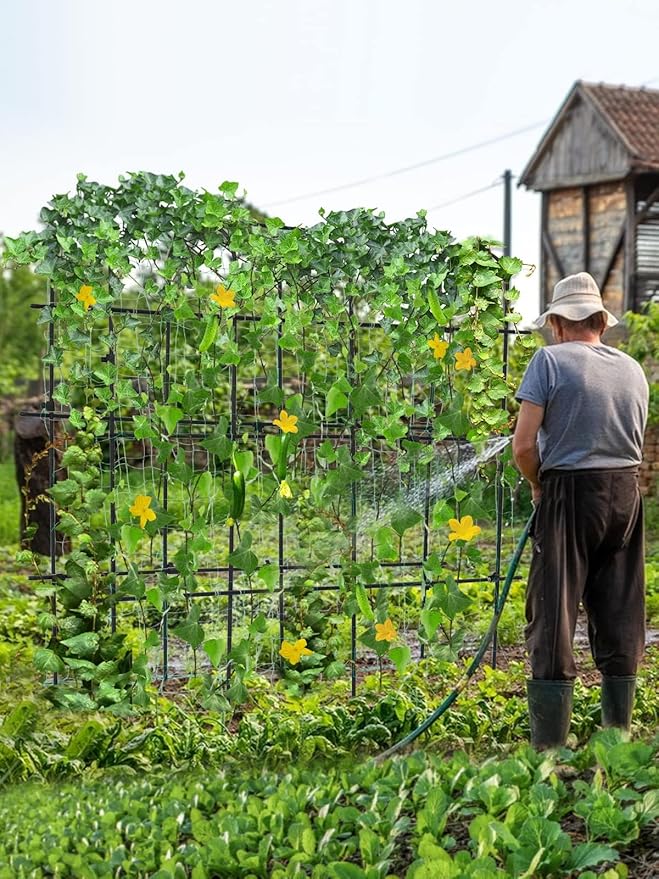 6Γ6 Feet Garden Trellis for Climbing Plant, Kalolary Large Garden Cucumber Trellis U-Frame Vegetable Beans Fruit Grow Trellises Rustproof Metal Plant Climbing Support for Indoor Outdoor Vine Stand