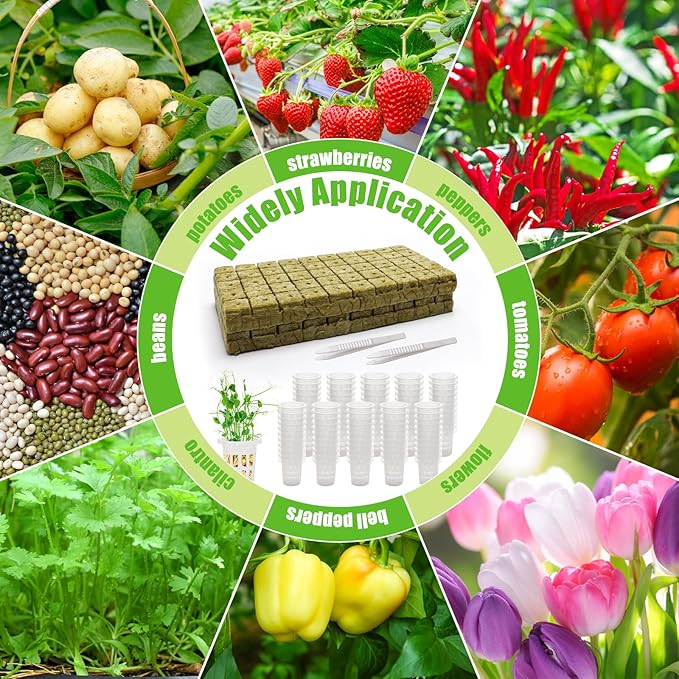 Windspeed 202Pcs Rockwool Planting Cubes Set 1 Inch, 100P Rockwool Starter Plugs with 100P 1.5 in Hydroponics Net Cup 2 Tweezers Rockwool Cubes for Hydroponics Rooting,Starting Seeds,Clone Plants