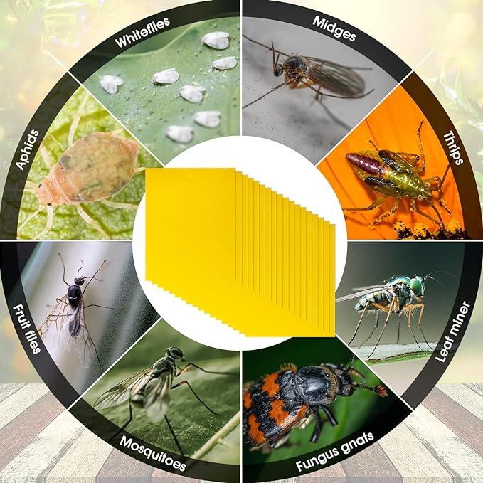 Qualirey 200 Pcs 7.87 x 9.84 Inches Yellow Sticky Traps for Plant Gnats Dual Sided Fruit Fly Sticky Traps for Indoors and Outdoors with Twist Ties and Plastic Holders for Plant Insect, Fungus Gnats