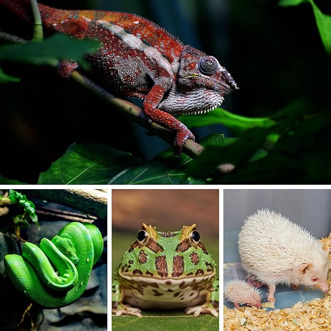 Reptile Heating Pad with PID Thermostat & Timer 8"x12" Terrarium Under Tank Heater for Hermit Crab/Snake/Turtle/Lizard/Frog/Spider, and Other Reptiles