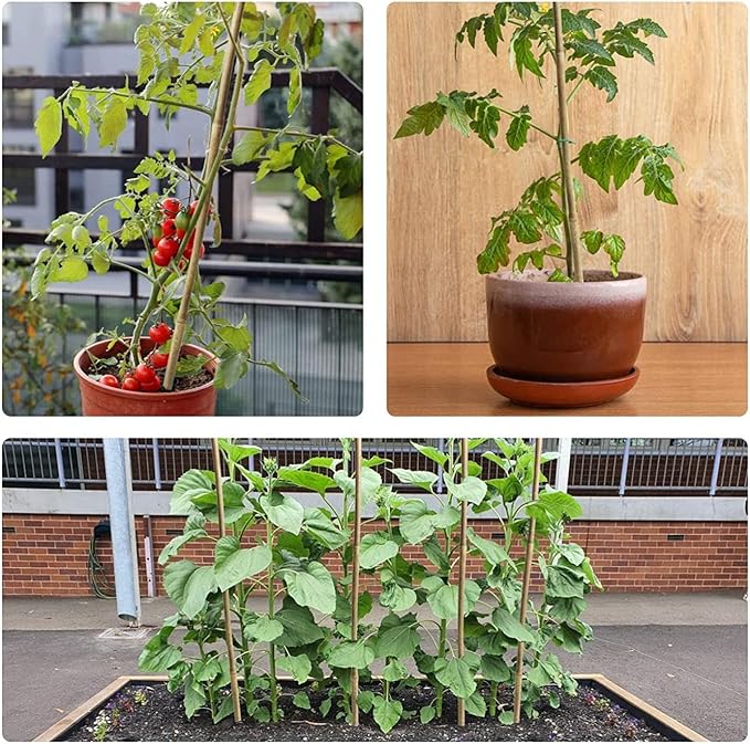 15pcs 3/4" D Thicker Heavy Duty Bamboo Stakes, 7FT Plant Stakes, Natural Garden Stakes for Tomato, Bean, Flowers,Trees Potted and Climbing Plant Support