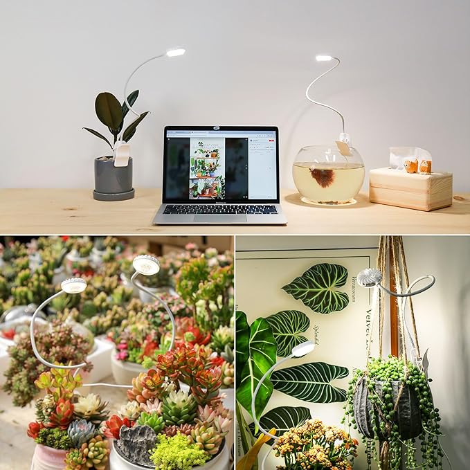 Grow Lights for Indoor Plant Growing, 2 Lamp Heads One Plug LED Clip Plant Light, 4000K Full Spectrum 4-Level Dimmable, Auto On Off Timing 3 6 12 Hrs Small Plants, White 14W