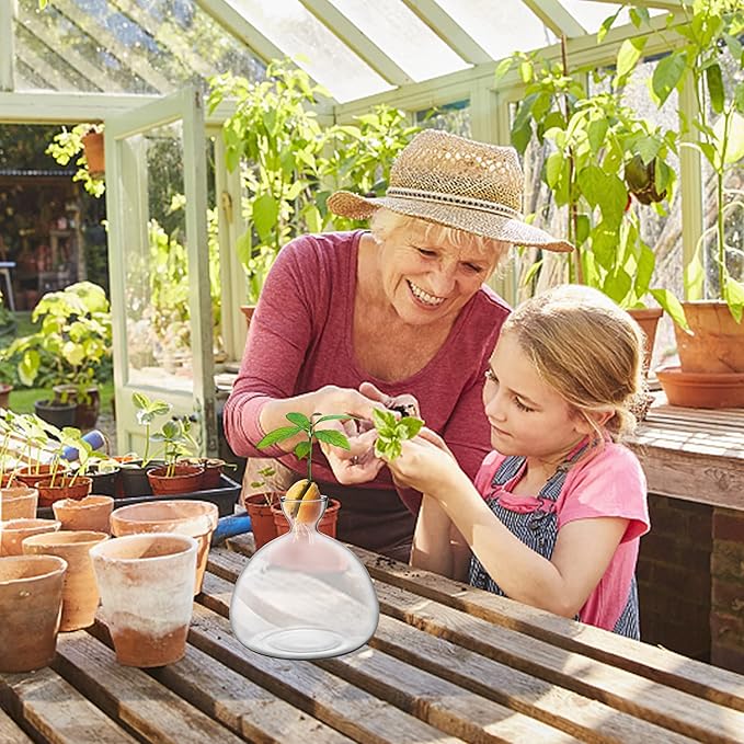 Avocado Tree Growing Kit,Avocado Seed Starter Vase,Glass Plant Pot with Avocado Stickers,Plant Indoor Grow Gardening Gifts