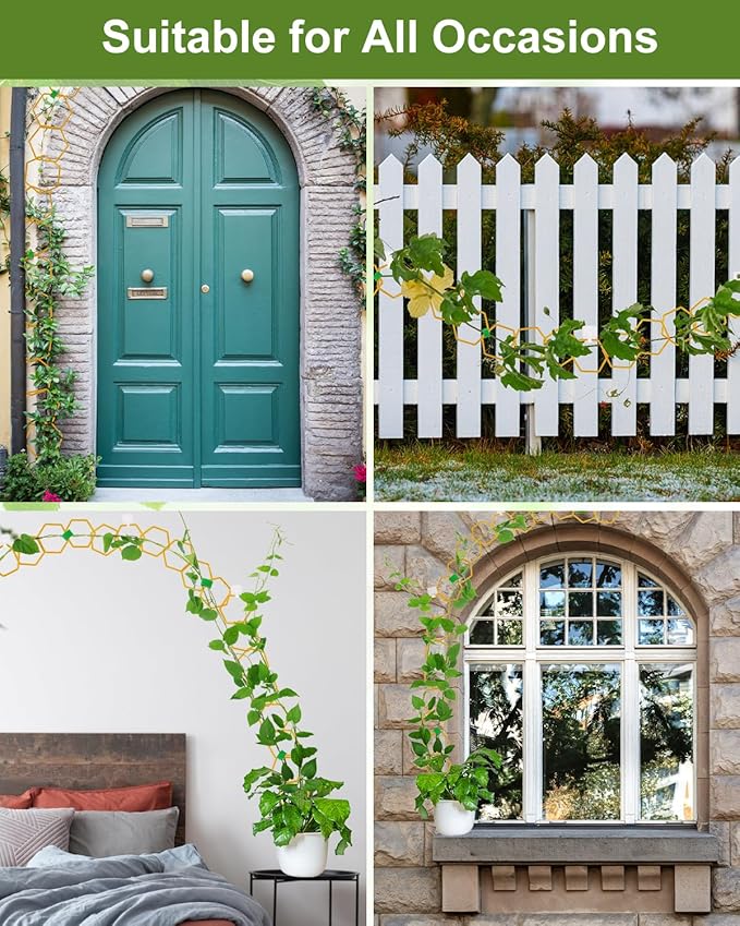 18 Pcs Chain Trellis for Climbing Plants, Potted Houseplant Accessories for Hoya, Ivy, Monstera, 6-Corner DIY Wall Trellis Plant Support with Hooks and Ties Indoor Outdoor(Gold)