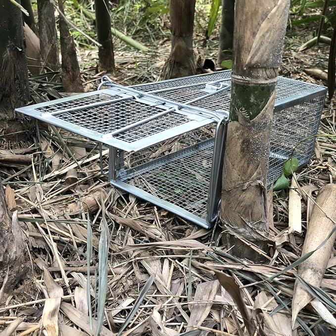 Gingbau 2-Pack Rat Traps Humane Live Chipmunk Cage Traps