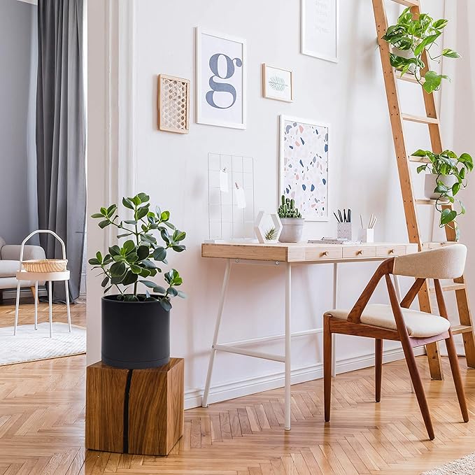 D'vine Dev 8 Inch Plastic Planter Pots for Plant Pot with Drainage Hole and Seamless Saucers, Black Color, 74-X-B-1