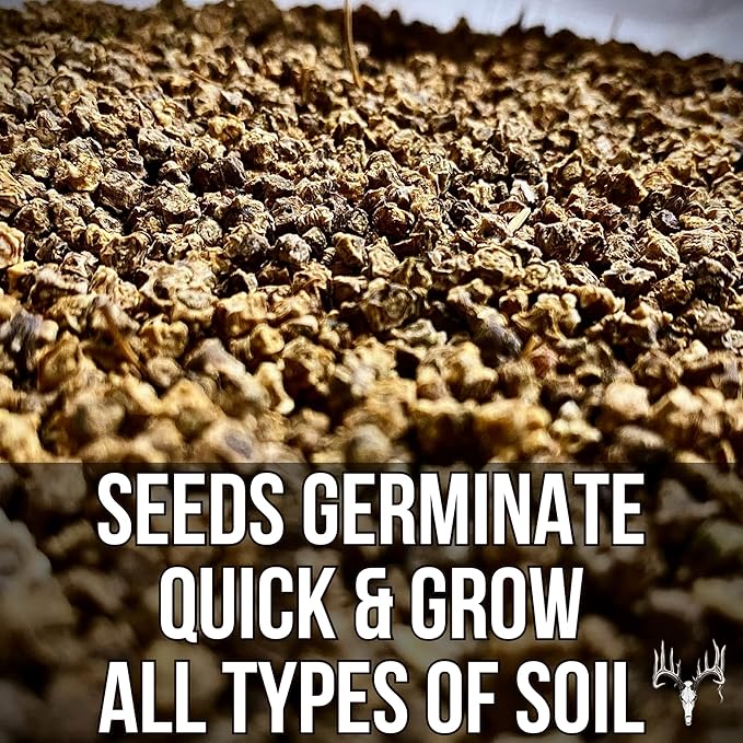 Dwight’s Pure Sugar Beet Seed for Deer, 6LB EcoPack, Planting Seeds Grow Whitetail & Turkey Hunting Food Plot Attractants, Winter Root Crop & Cold Tolerant Forage Feed Wildlife, No Coat