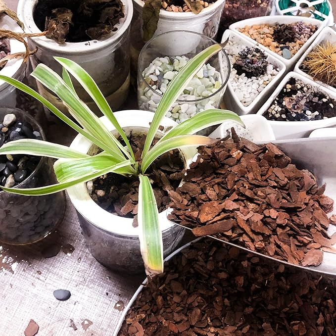 14qt Organic Orchid Potting Bark -Natural Mulch for Potted Plants, Root Development of Orchid Plants and Garden Soil Amendment Mix