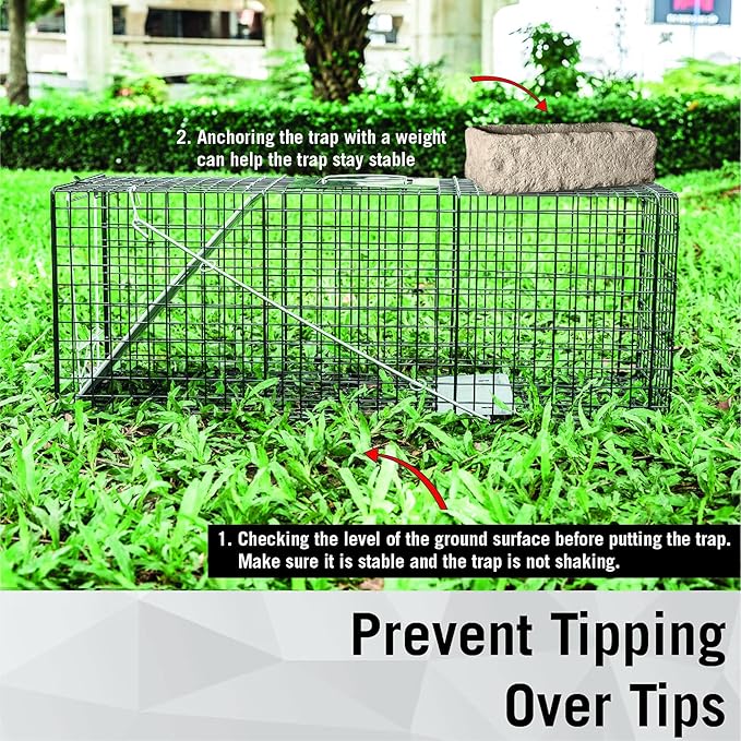 HOMESTEAD 2-Pack Live Animal Trap - Specialized for Raccoons, Opossums, Groundhogs, Skunks, Feral Cats, Squirrels - Heavy Duty Steel Traps, 1-Door, Green, Humane Catch & Release Animal Trap,89-302