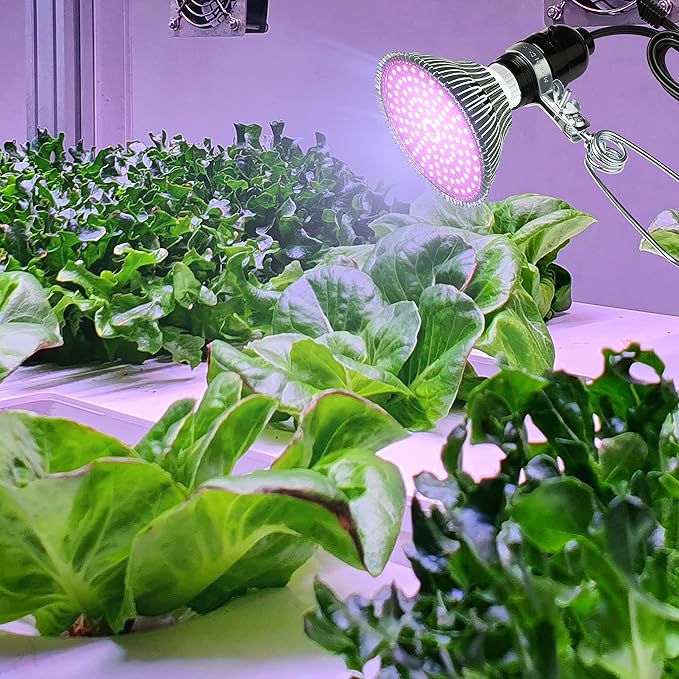 Simple Deluxe 1-Pack 18/2-Gauge Brooder and Heat Clamp Lamp with Bakelite Socket 150 Watt 6 Feet Cord, Black