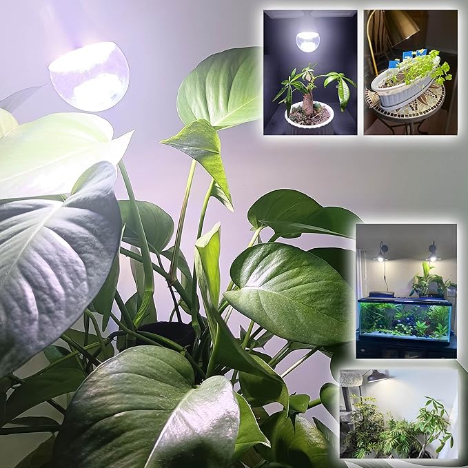 Grow Light Bulbs E12 Candelabra Small Screw Base for Indoor Plants Full Spectrum,Grow LED Light Bulb 10W with Balanced Spectrum 5000K Blue Red for Seeds Greens Laboratory,School,Greenhouse Garden,6Pcs