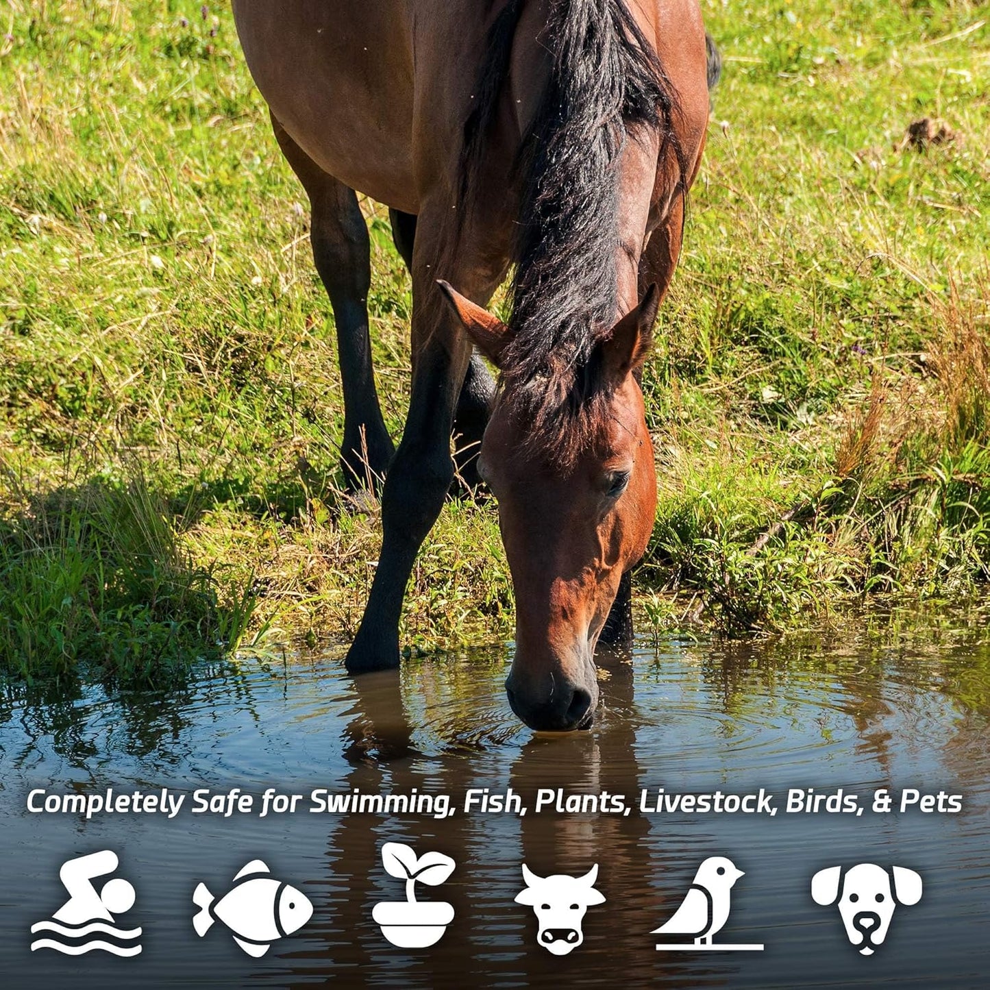 Pond Sludge Remover β 5 Pounds Beneficial Pond Bacteria & Enzyme Treatment - 100% Natural Muck Digester β Safe for All Aquatic Life and Recreation - Made in The USA