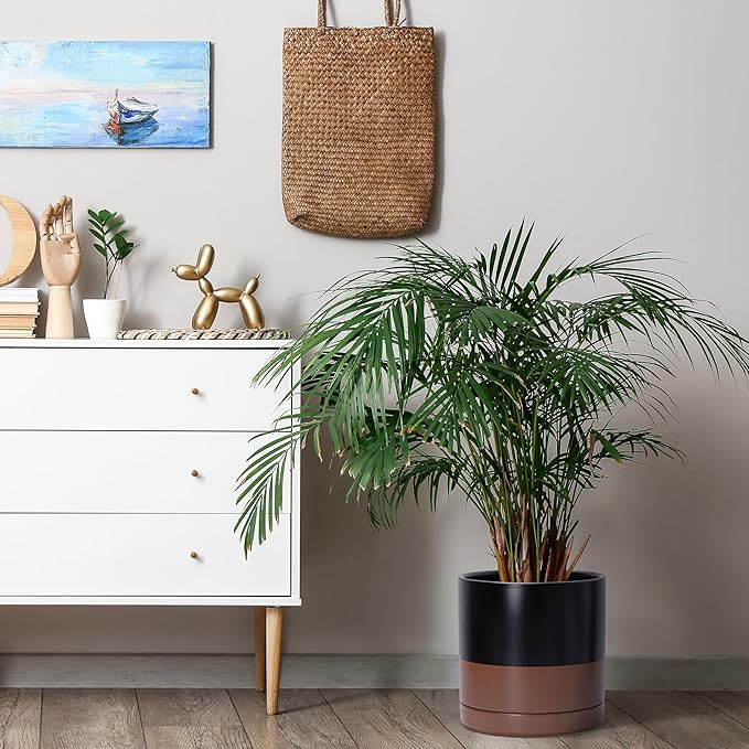 D'vine Dev 10 Inch, Ceramic Planter Pot with Drainage Hole and Saucer, Indoor Cylinder Round Planter Pot, Black/Speckled Tan, 94-O-E-7