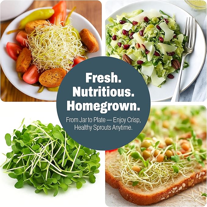 Sprout Growing Kit – Green Onion Regrower, 2 Wide-Mouth Mason Jars with Screen Lids, Blackout Sleeves & Ceramic Tray – Easy Microgreens Growing Kit for Alfalfa, Broccoli, Mung Beans