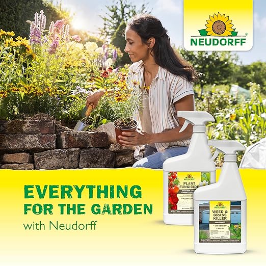 Garden Insecticide Spray for Roses and Flowers, Kills Fruit Flies, Fungus Gnats, and 100+ Listed Insects on Contact for Organic Gardening, Contact Insecticide, Ovicide Spray (32 oz)