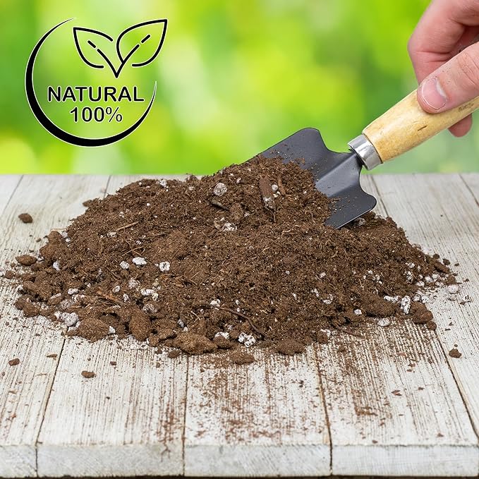 Bird of Paradise Potting Soil Mix (8 Quarts), All Natural Mix for Indoor/Outdoor Container Tropical Plants