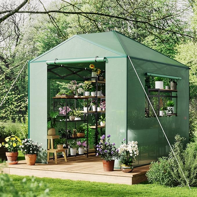 6X8 FT Portable Greenhouse for Outdoor,182 x 243 CM Wall in Pop Up Greenhouse for Gardening Plant, Zipper Roll Up Door & 4 Mesh Window, Double Frame, PE Cover Grow Tent for Winter, Green
