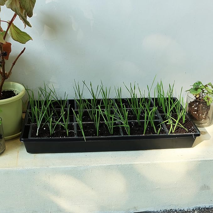 Gardzen 10 Pack Seed Trays, Reusable Plant Grow Trays, Ideal for Seed Starting, Microgreens, Indoor Gardening, and Greenhouse Plant Nurseries - No Drain Holes, 20"x10"