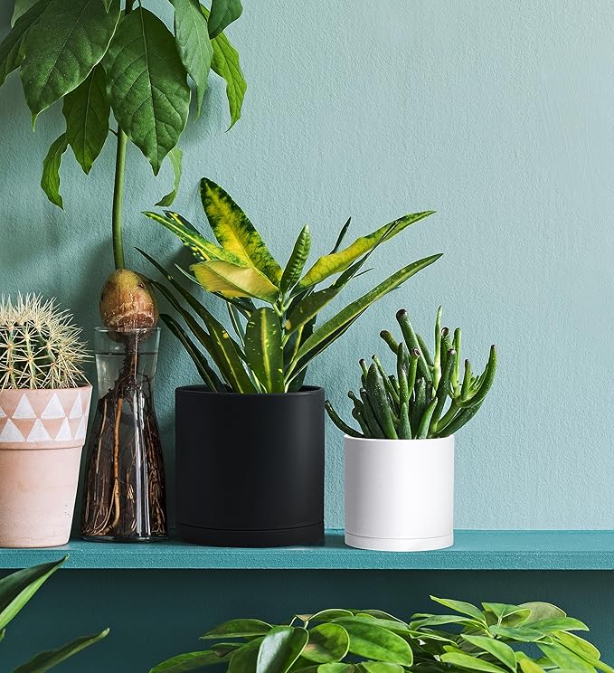 D'vine Dev 4 Pack 4.5 Inch Modern Plastic Plant Pots, Small Garden Planters for Plant with Drainage Holes and Saucers, White Color, 74-Z-F-2