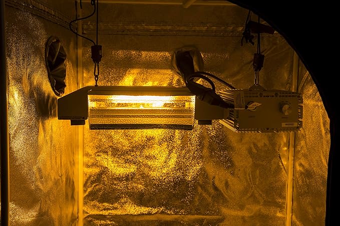 SunStream 1000 Watt DE HPS Double Ended High Pressure Sodium Grow Lamp Bulb High PAR with Enhanced Red and Orange Spectrum CCT 2000K