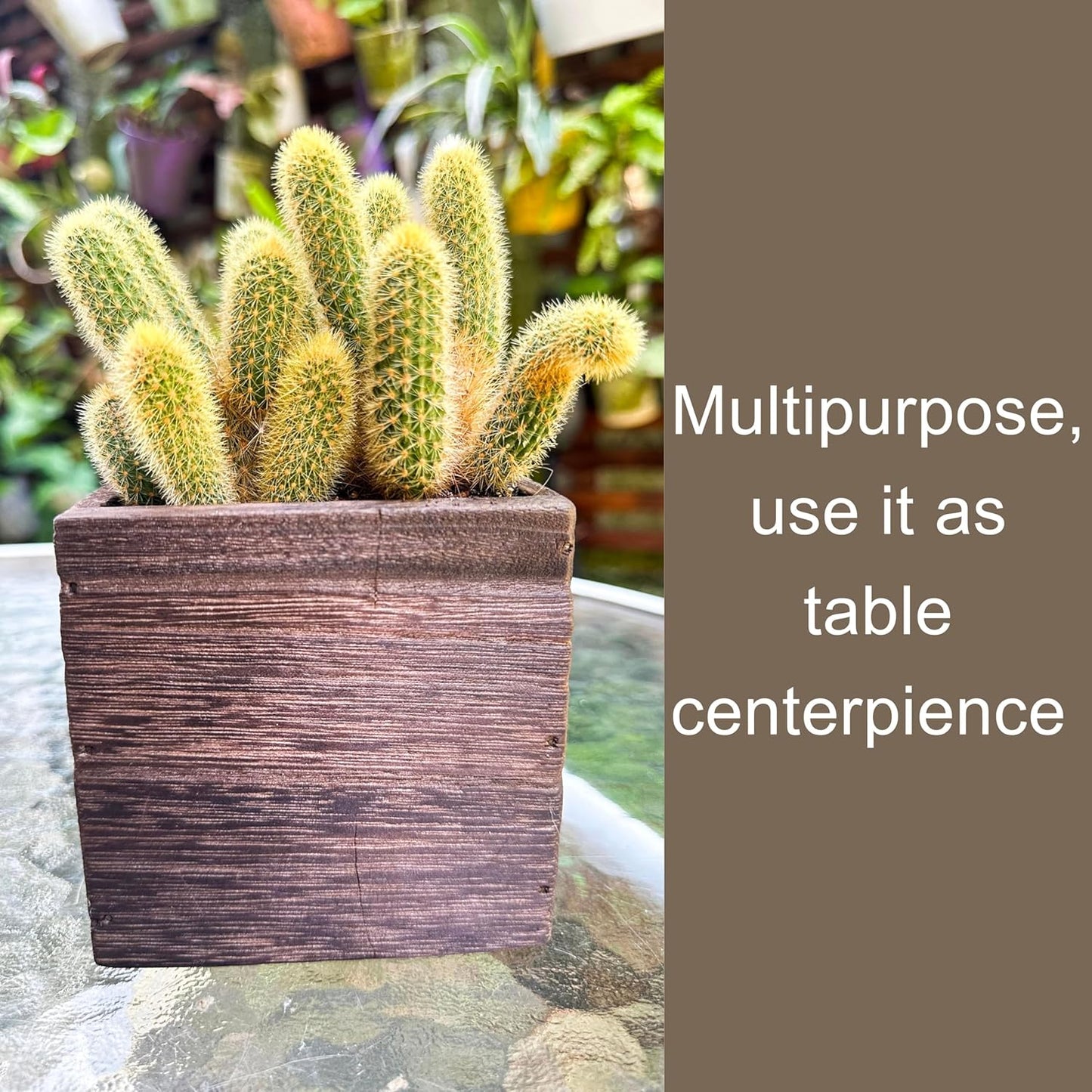 LaLaGreen Wood Planter Boxes for Indoor Plants (4x4 Inch, 6 Pack) Small Square Wall Mounted Planters Flower Pot, Herb Wooden Box Hanging Plant Holder Outdoor Balcony Vertical Garden Modern Home Decor