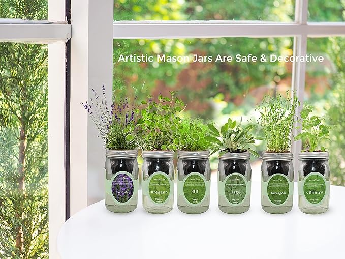 Hydroponic Herb Growing Kit, Self-Watering Mason Jar Herb Garden Starter Kit Indoor, Window Herbs Garden, Grow Your Own Herbs from Organic Seeds (Mint)