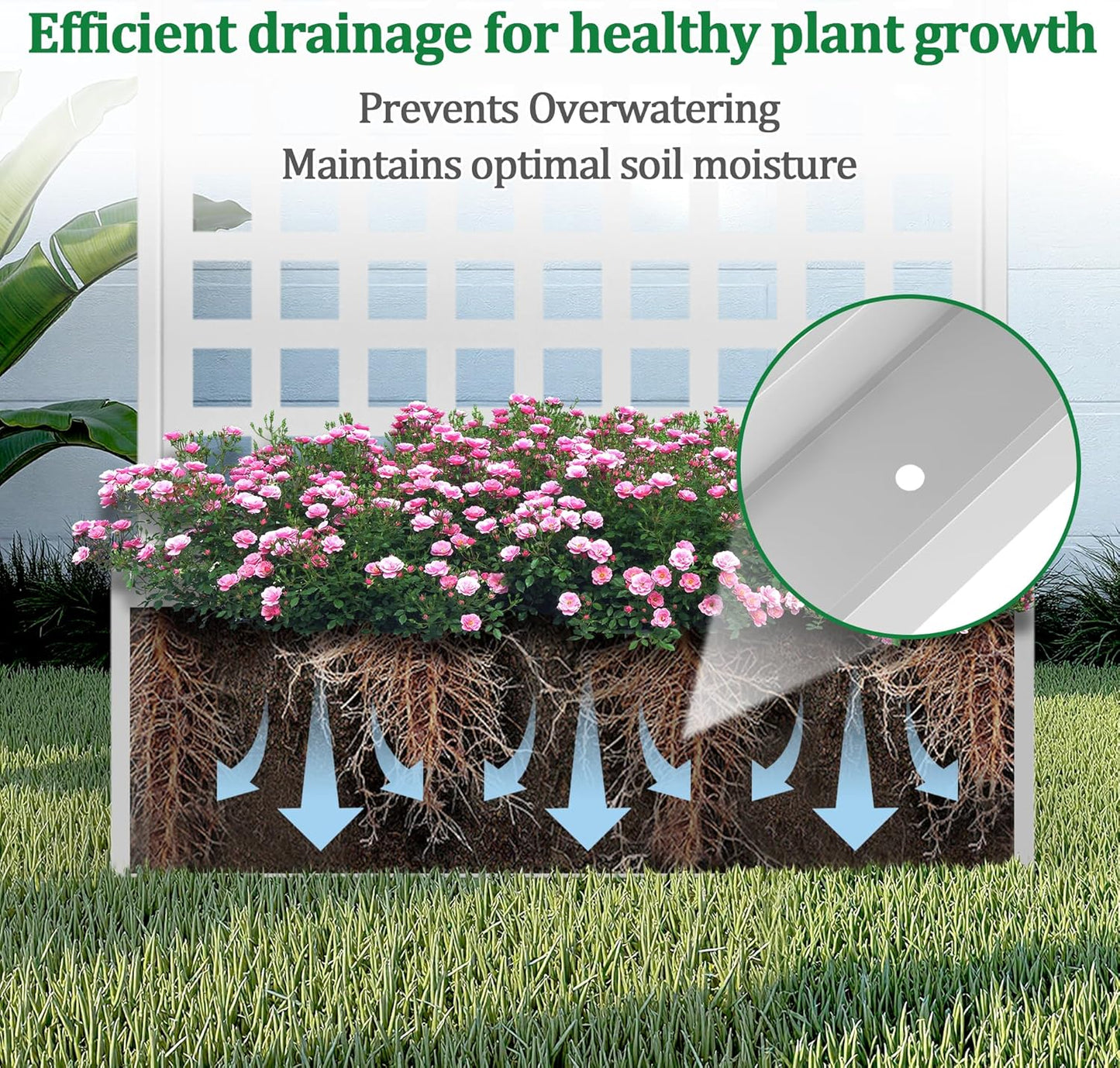 Metal Raised Garden Bed with Trellis, 2 in 1 Trellis with Planter Box & Privacy Screen for Climbing Plants, Vine, Outdoor Standing Flower Beds with Drainage Holes, 35.4"L x 16.7"W x 70.8"H, White