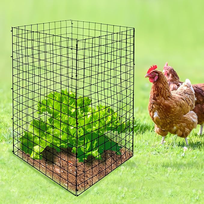 DECOHS 8 Packs Wire Plant Protectors from Animals- 20 x 12 Inch Heighten Square Garden Wire Plant Cages Mesh- Metal Garden Plant Cloche Protection Barricades for Protecting Plants Vegetables Flowers
