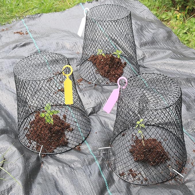 10Pcs Chicken Wire Cloche Plant Covers, 9.2×9.2 Inches Plant Protectors from Animals, Metal Garden Plant Cages for Outdoor Plants, Keep Rabbits, Squirrels, Birds Out