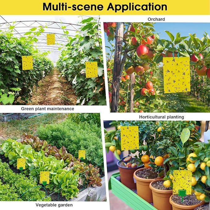 Dwcom 60 Pack Yellow Sticky Traps for Gnats Fruit Fly Traps for Indoors, Fungus Gnat Traps for House Indoor Fly Paper Indoor for Gnats Killer Indoor Trap